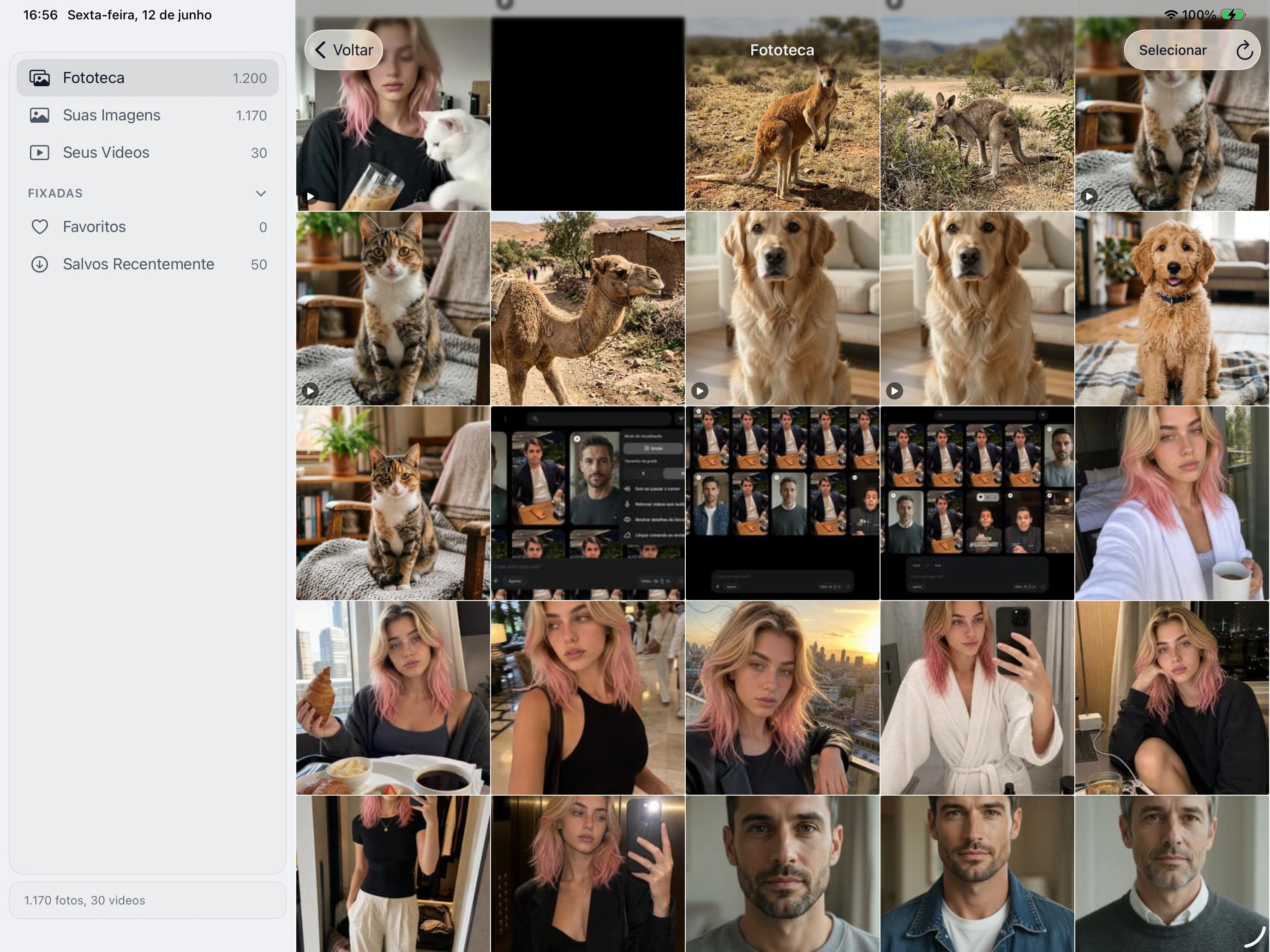 Galeria do ChatLP9 com imagens e vídeos